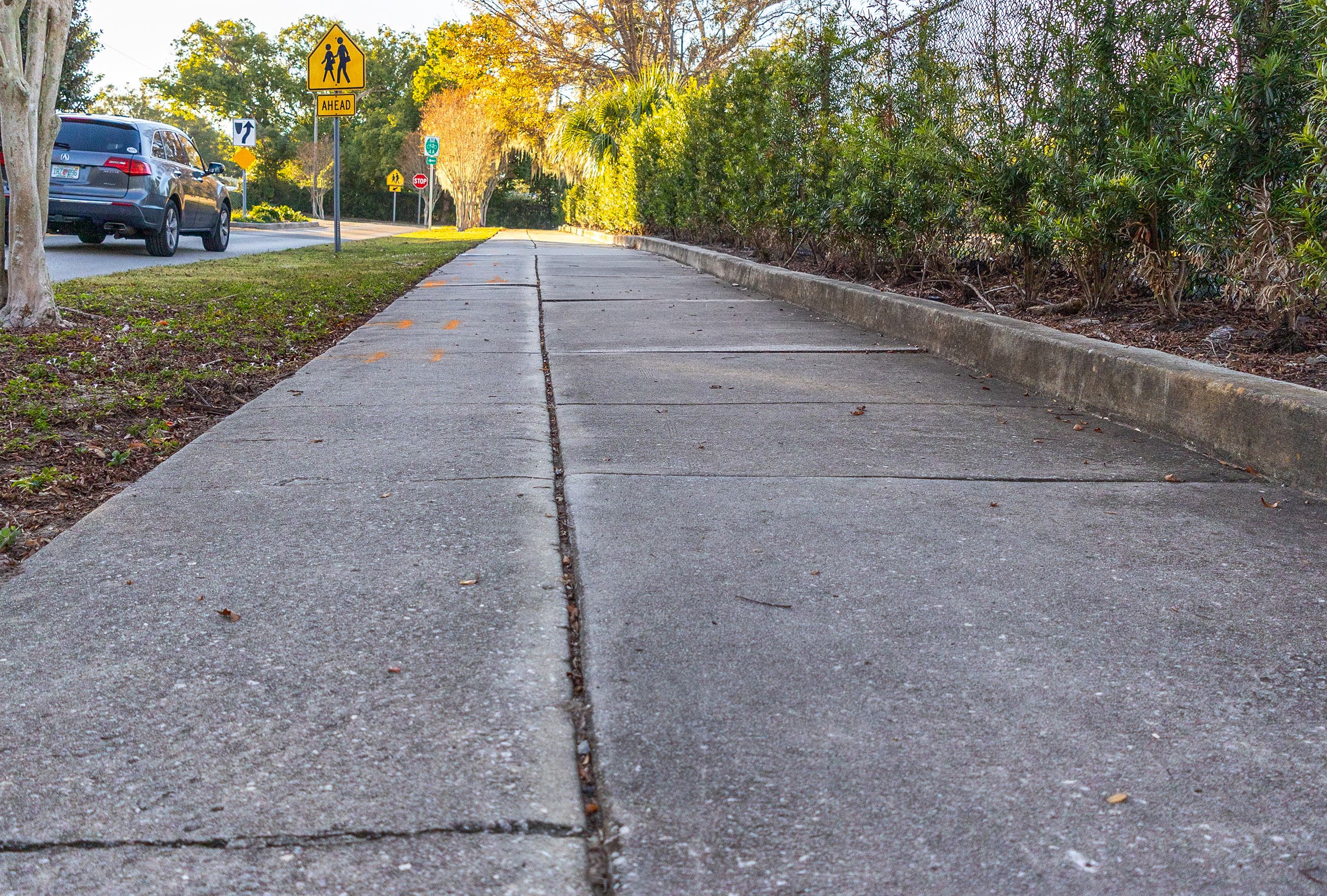 Thistle Sidewalk picture