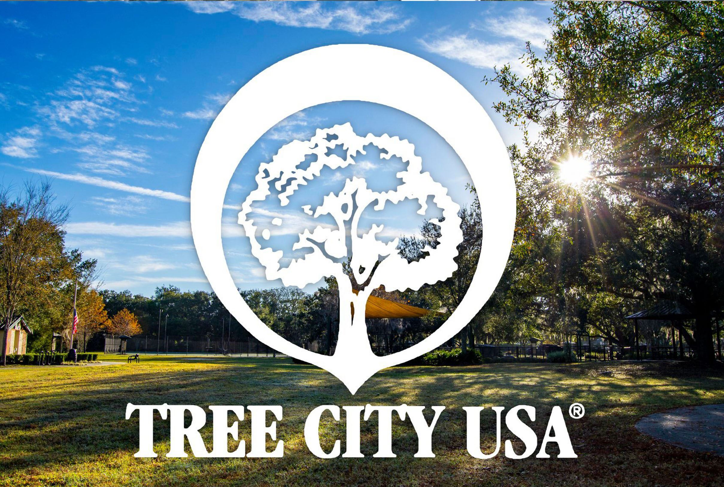 Tree City USA