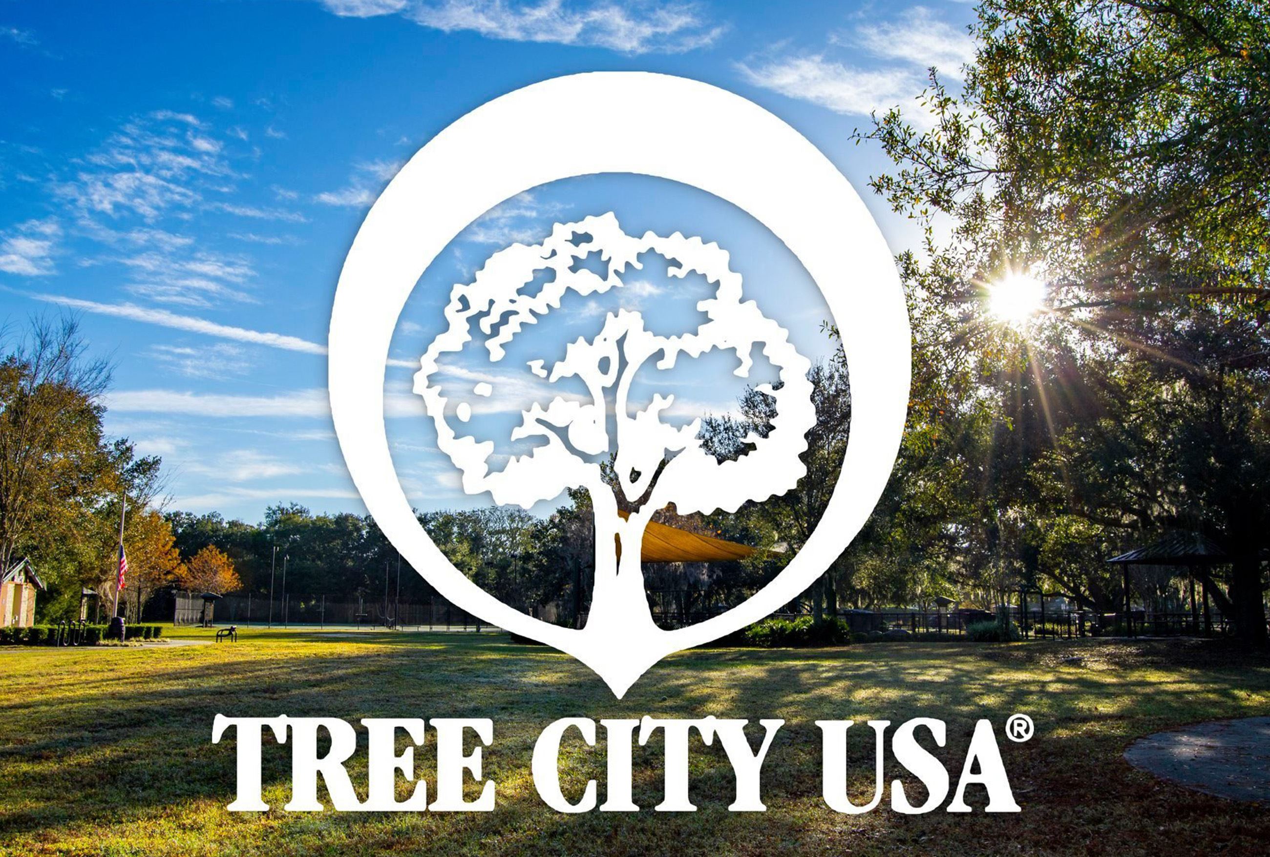 Tree City USA